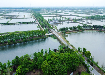 只此青绿 向美而行——我市生态环境治理工作纪实