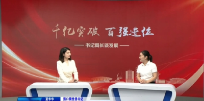 熊口镇党委书记夏华华——聚势突破对标争先 奋力挺进全国千强镇