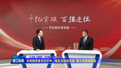 龙湾镇党委书记付坤——锚定目标谋突破 聚力攻坚绘新篇