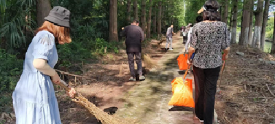 杨市街道：“小积分”撬动基层治理“大能量”