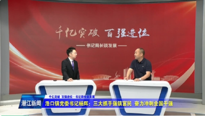 浩口镇党委书记杨辉——“三大抓手”强镇富民 奋力冲刺“全国千强”