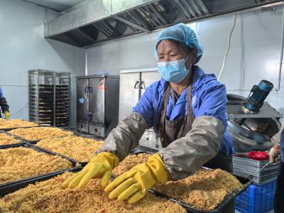 小作坊变身大工厂 让家乡味道香飘四方