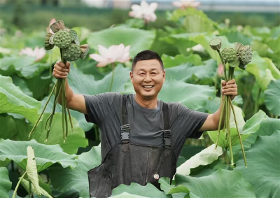 荷田“莲”连片 农户笑开颜