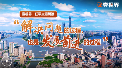 壹视界·任平文章解读丨“解决问题的过程，也是发展前进的过程”