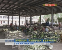 视频 |  记者走基层  天丰惠农公司: 灾害面前巧应对 多措并举保订单 
