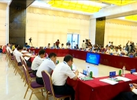 视频 | 我市代表团参加中国硒产业发展地区领导人圆桌会议  