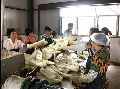 11月4日【天门新闻】