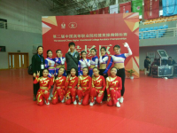 天门职院在第二届中国高等职业院校健美操舞锦标赛中获奖