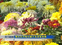 视频 | 菊文化节吸引数千名游客赏菊