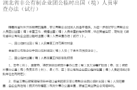 湖北省非公有制企业团公临时出国（境）人员审查办法（试行）
