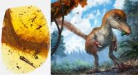 重磅！中国科学家发现恐龙“小鲜肉”，复活恐龙有希望了？  