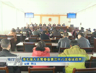 视频 | 市七届人大常委会第三十八次会议召开