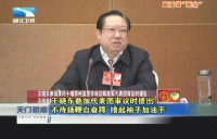视频 | 王晓东参加代表团审议时提出：不待扬鞭自奋蹄 撸起袖子加油干