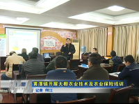 黄潭镇开展大棚农业技术及农业保险培训