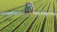 天门市提升农业供给侧可持续发展能力做到“四个强化”