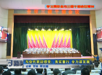 深入学习贯彻全市三级干部会议精神 与会代表谈感受：务实重行 全力谋发展  