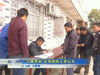 视频 | 记者走基层  “订单农业”让农民吃上定心丸