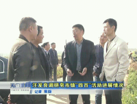 视频 | 汪发良调研皂市镇“四百”活动进展情况