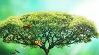 生命是棵长满可能的树