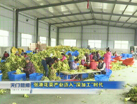 视频 |张港花菜产业迈入“深加工”时代