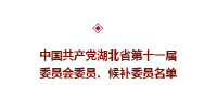 新一届湖北省委、省纪委产生（附名单）