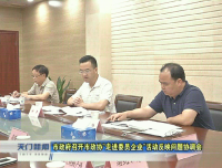 视频丨市政府召开市政协“走进委员企业”活动反映问题协调会