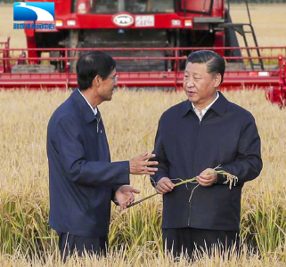 这些来自习近平总书记的“粮”言“粮”语，请收好！