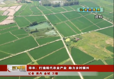 视频丨【记者走基层】华丰：打造现代农业产业 助力乡村振兴