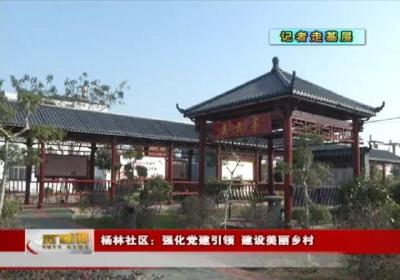 视频丨【记者走基层】 杨林社区：强化党建引领 建设美丽乡村