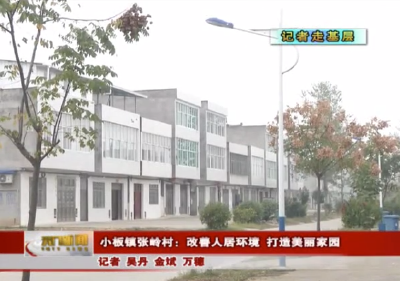 视频丨【记者走基层】小板镇张岭村：改善人居环境 打造美丽家园