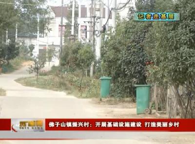 视频丨【记者走基层】  佛子山镇振兴村：开展基础设施建设 打造美丽乡村