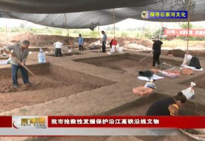 视频丨【探寻石家河文化】  我市抢救性发掘保护沿江高铁沿线文物