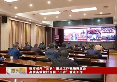 视频丨我市召开“三农”重点工作视频调度会  高质高效做好当前“三农”重点工作