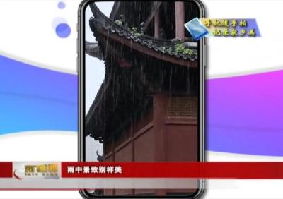 【手机随手拍 记录家乡美】 雨中景致别样美 