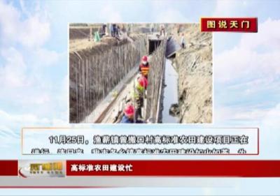 【图说天门】高标准农田建设忙
