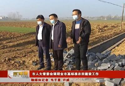 市人大常委会调研全市高标准农田建设工作