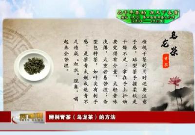 【品千年茶韵 迎天下客商湖北（天门）第四届陆羽茶文化节】辨别青茶（乌龙茶）的方法