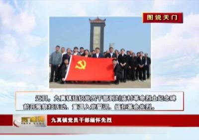 【图说天门】 九真镇党员干部缅怀先烈