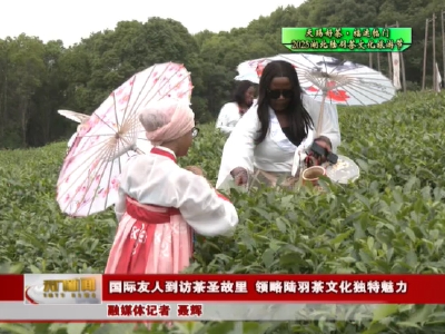 【天赐好茶 福运临门 2025湖北陆羽茶文化旅游节】  国际友人到访茶圣故里 领略陆羽茶文化独特魅力