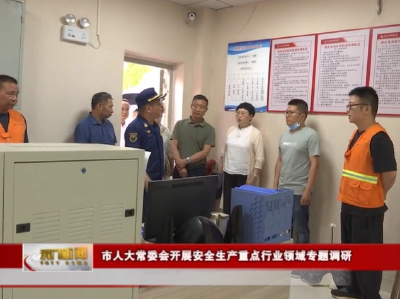 市人大常委会开展安全生产重点行业领域专题调研