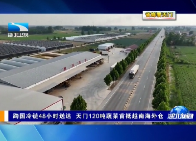 【省媒看天门】  跨国冷链48小时达 天门120吨蔬菜首抵越南海外仓