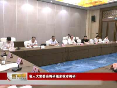 省人大常委会调研组来我市调研