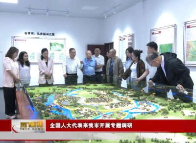 全国人大代表来我市开展专题调研