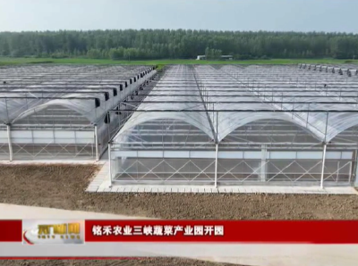 铭禾农业三峡蔬菜产业园开园