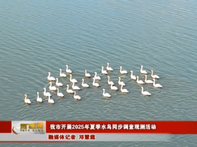 我市开展2025年夏季水鸟同步调查观测活动