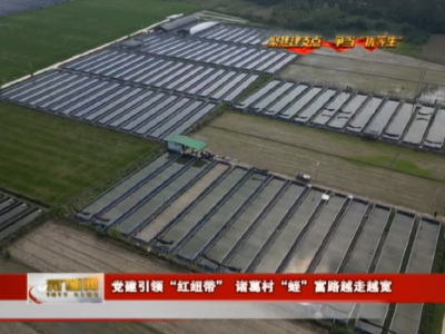 【聚焦建支点 争当“优等生” 奋力开创跨越赶超发展新局面】 党建引领“红纽带” 诸葛村“蛭”富路越走越宽