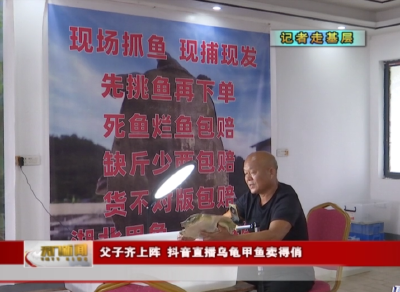 【记者走基层】 父子齐上阵 抖音直播乌龟甲鱼卖得俏