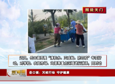 【图说天门】岳口镇：灭蚊行动 守护健康
