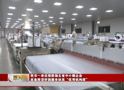 我市一单位荣获 湖北省中小微企业应急转贷纾困服务体系“优秀机构奖”