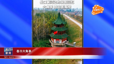 【抖音天门】岳口六角亭